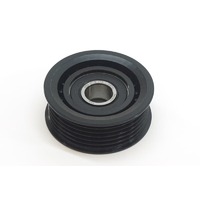 INA Idler Pulley 532016010