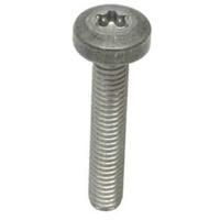 OEM Valve Body Screw 0049907512
