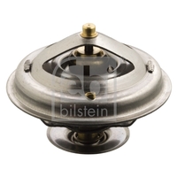 Thermostat 022121113