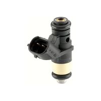 Fuel Injector 036906031M