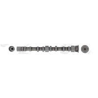 Exhaust Camshaft 03C109101DF