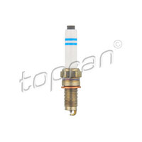 Spark Plug 04E905601B