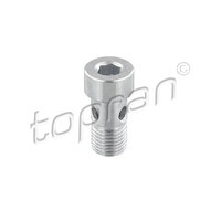 Charger Hollow Screw 06A145541J