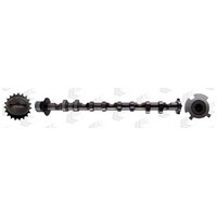 Inlet Camshaft 06D109101AL