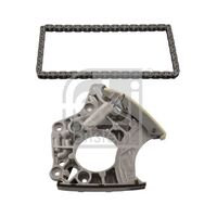 Chain Tensioner Kit 079109217RKIT