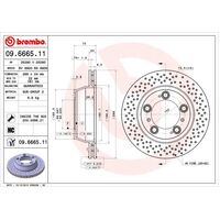 Brembo Rear Brake Rotors Set 09.6665.11