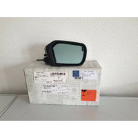 OEM Right Mirror 1078100216