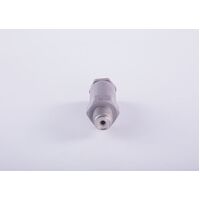 Genuine Bosch Pressure Limiting Valve 1110010020
