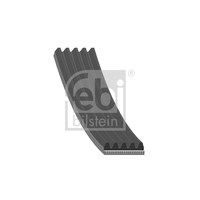 V-Ribbed Belts 11281437872