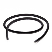 OEM Hardtop Base Seal 1137900083
