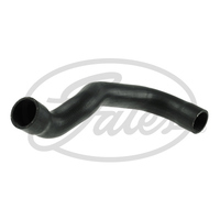 Lower Radiator Hose 11531734455