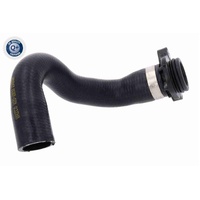 Thermostat Hose 11537603514