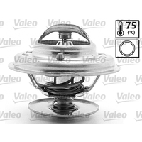 OEM Thermostat 1162000015