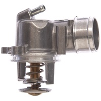OEM Thermostat 1202000015