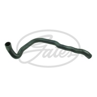 Lower Radiator Hose 1K0121086AN