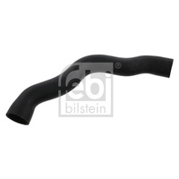 OEM Radiator Hose Upper 2025012482