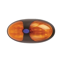 Hella Interior Auxiliary Indicator 2031
