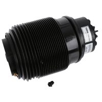 OEM Right Rear Suspension Air Bag 2123204425