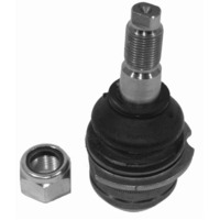 Front Lower Ball Joint 251407187