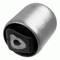 Castor Arm Bush 31106778015L