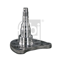 Rear Right Kingpin 333501118
