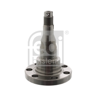 Rear Kingpin 357501117A
