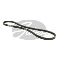 Gates V-Ribbed Belts 3PK787SF