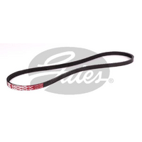 Gates V-Ribbed Belts 3PK795