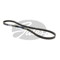 Gates V-Ribbed Belts 3PK842SF