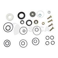 Steering Gear Repair Kit 443498020A