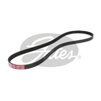 Gates V-Ribbed Belts 4PK1005