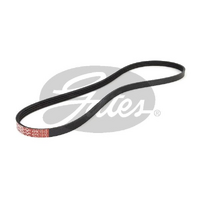 Gates V-Ribbed Belts 4PK1010