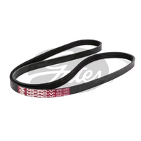 Gates V-Ribbed Belts 4PK1445