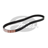 Gates V-Ribbed Belts 4PK780
