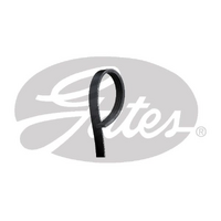 Gates V-Ribbed Belts 4PK895SF