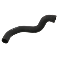 Febi Radiator Hose 05251 1235012682