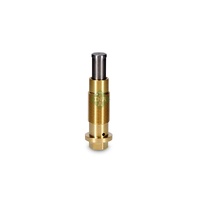 INA Timing chain Tensioner 551018710