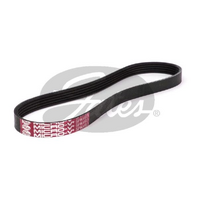 Gates V-Ribbed Belts 5PK493