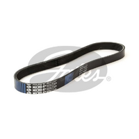 Gates V-Ribbed Belts 5PK716SF