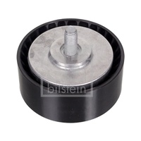 OEM Idler Pulley 6512000970