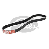 Gates V-Ribbed Belts 6PK1175