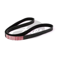 Gates V-Ribbed Belts 6PK1255