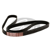 Gates V-Ribbed Belts 6PK2010