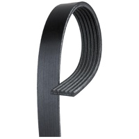 Gates Drive Belt 6PK2685