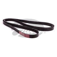 Gates V-Ribbed Belts 6PK2815