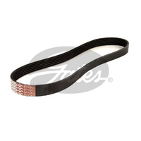 Gates V-Ribbed Belts 6PK905
