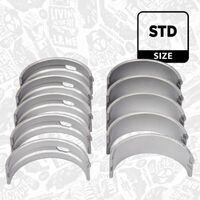 Main Bearing Set 77553600