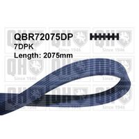 Drive Belt 7PK2074D