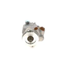 Genuine Bosch Tandem Pump 8695955139