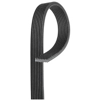 Gates Drive Belt 8DPK1445